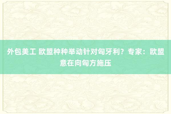 外包美工 欧盟种种举动针对匈牙利？专家：欧盟意在向匈方施压