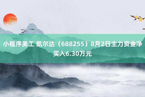 小程序美工 凯尔达（688255）8月2日主力资金净买入6.30万元