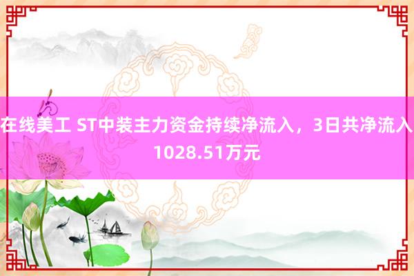 在线美工 ST中装主力资金持续净流入，3日共净流入1028.51万元